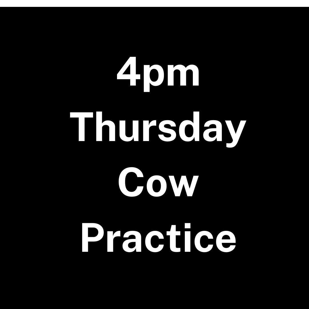 Hamilton Thursday Cow Practice - 4:00pm