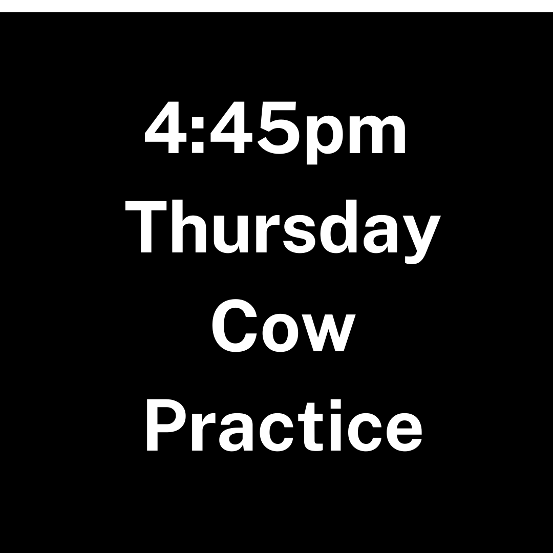 Hamilton Thursday Cow Practice - 4:45pm