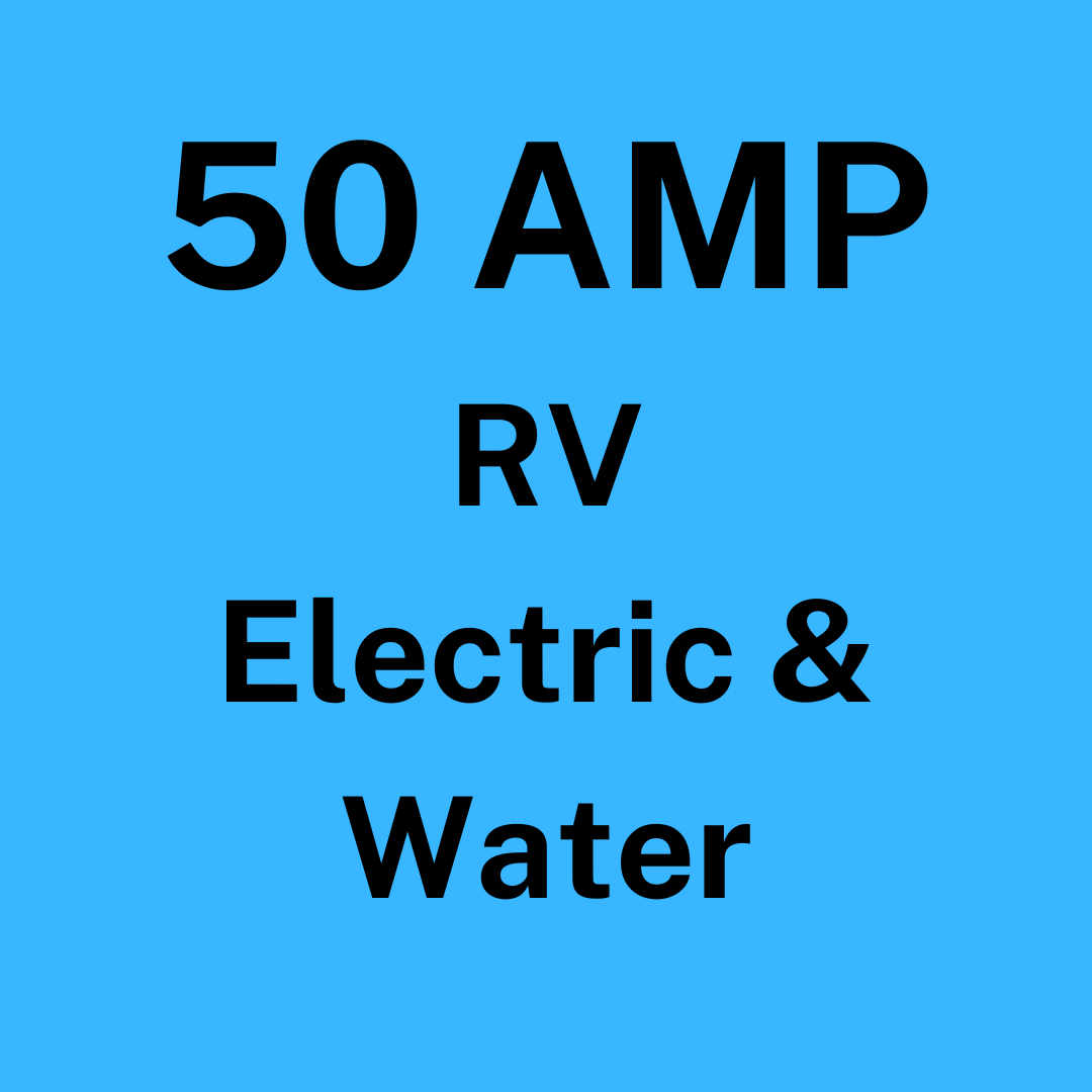 Bryan RV-50 amp - Sold Out