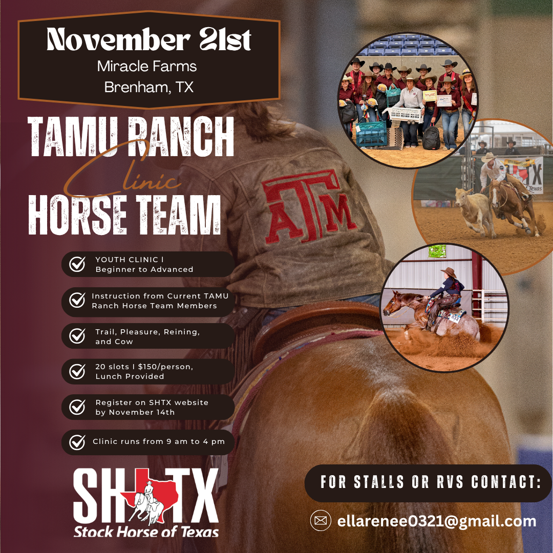 Youth Ranch Horse Clinic led by TAMU Ranch Horse Team