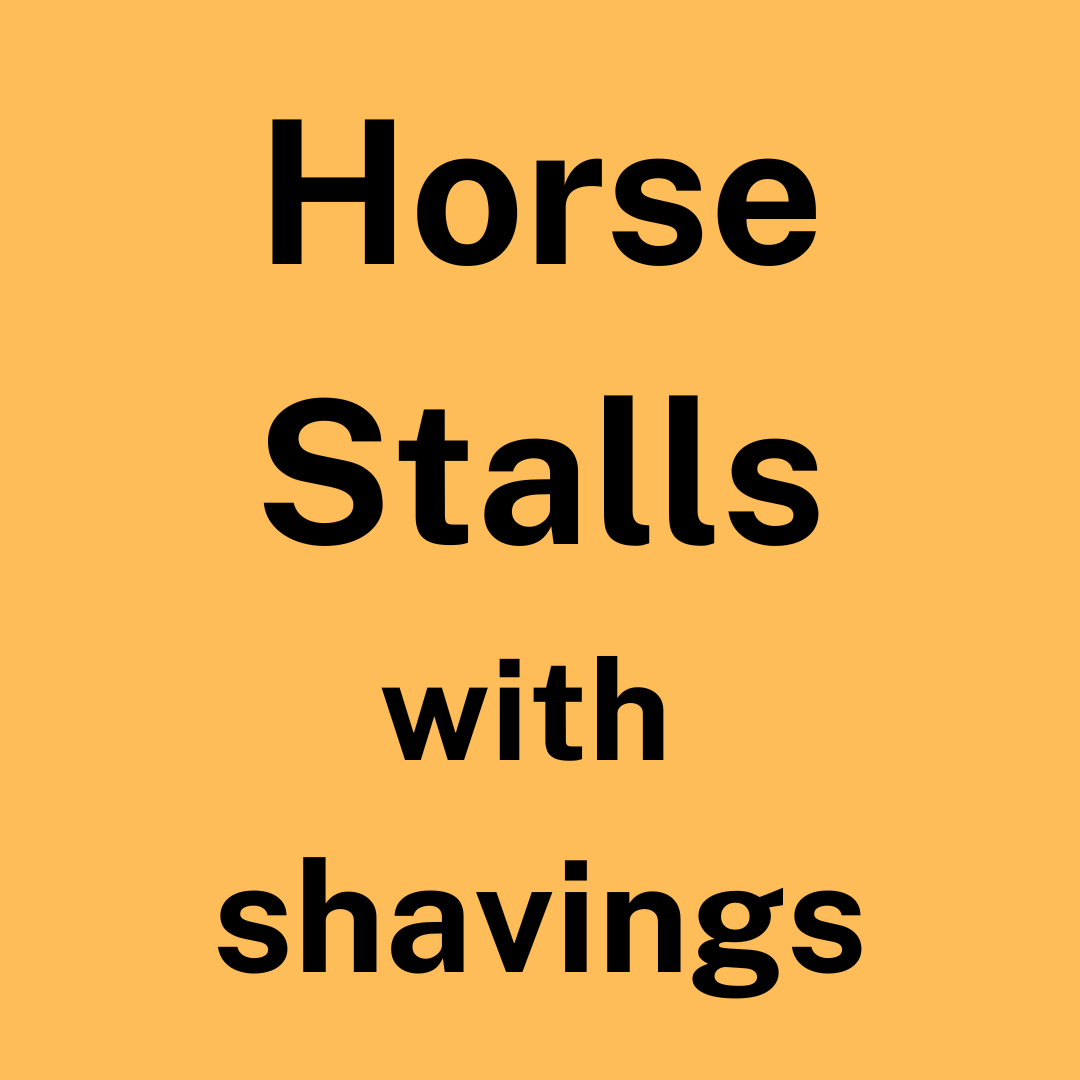 World Show Horse Stall with Shavings