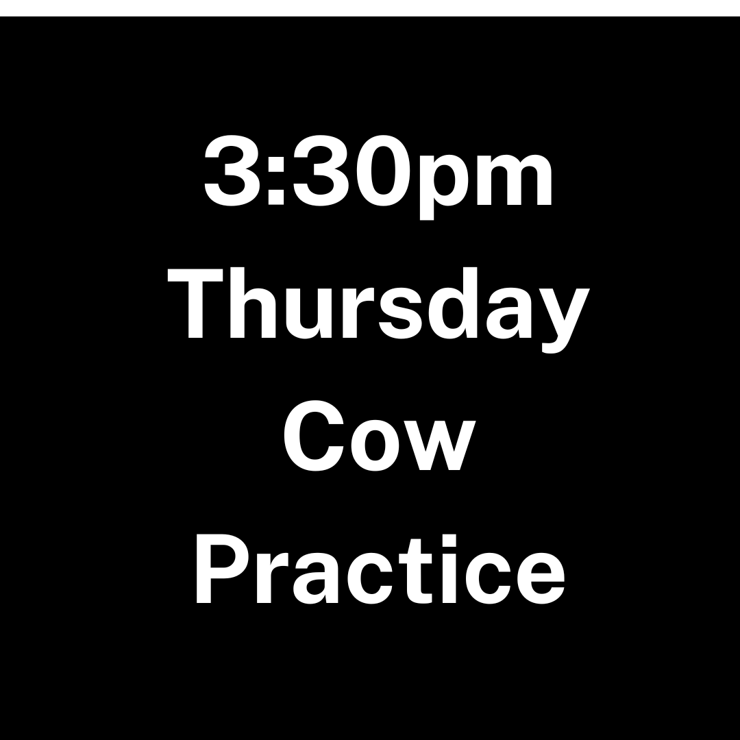 Lubbock Thursday Cow Practice - 3:30pm