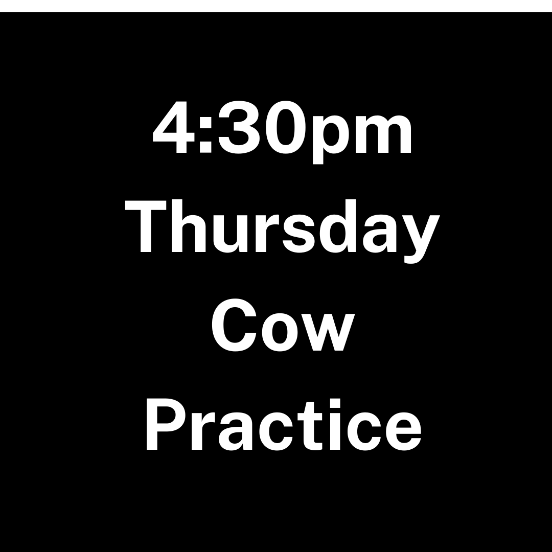 Lubbock Thursday Cow Practice - 4:30pm