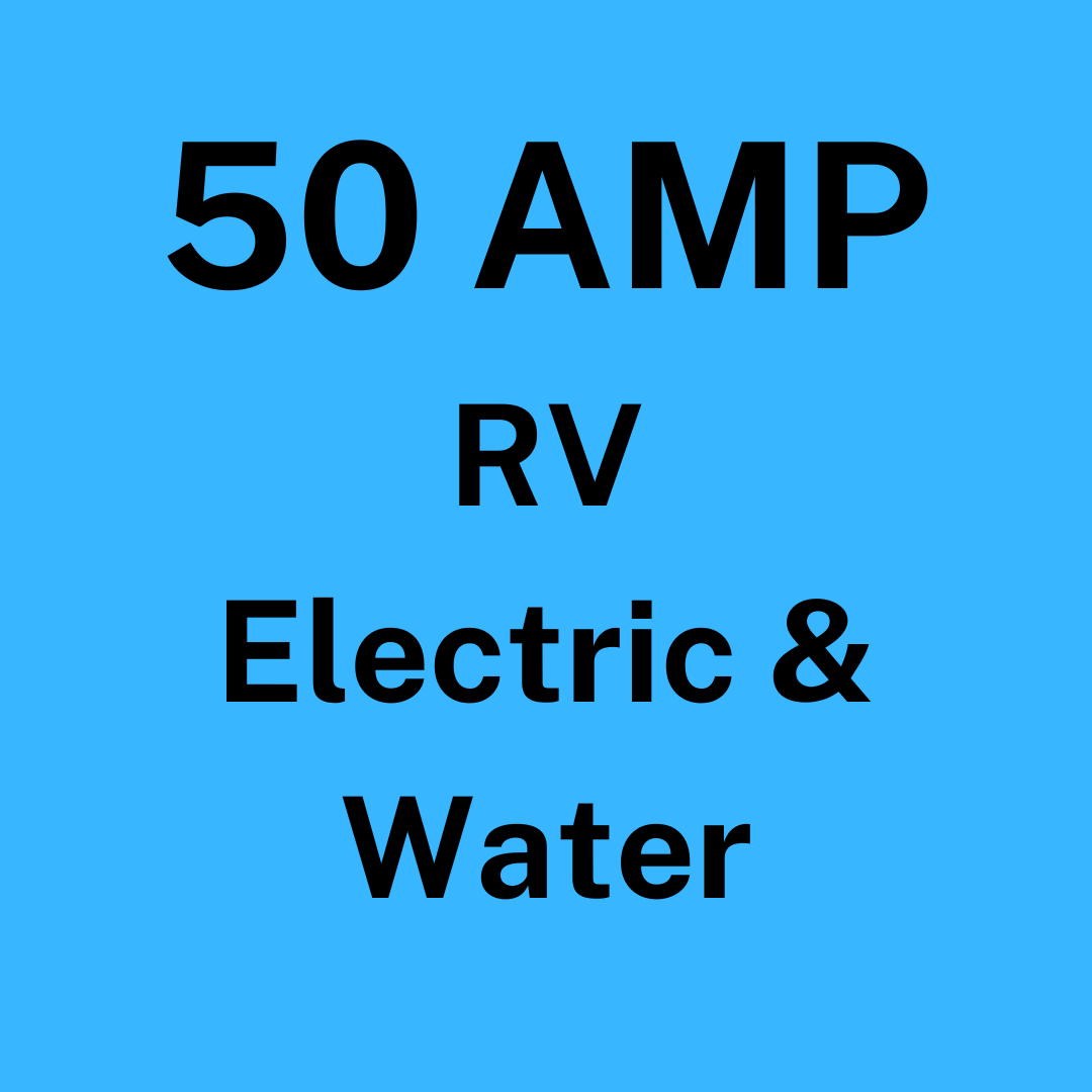 Bryan RV-50 amp