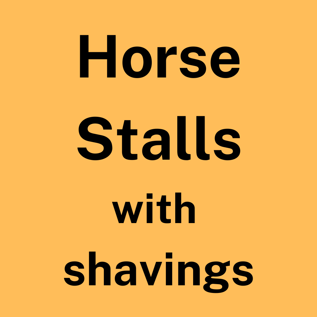 Bryan Horse Stall with Shavings