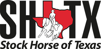 Stock Horse Of Texas